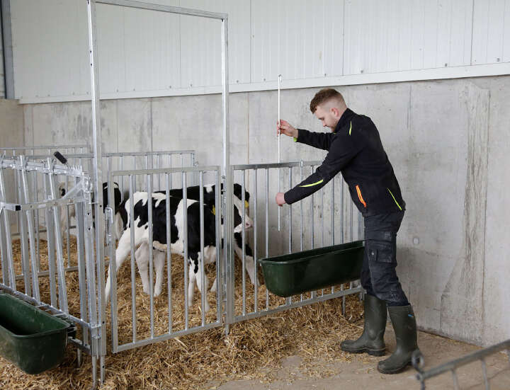 KERBL Modulare Zaunaufstallung Zaunteil mit Tür mit 3 Fressplätzen